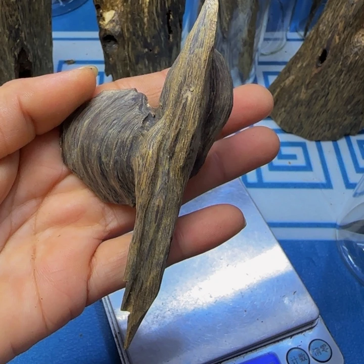 木海南虎斑紫奇11.7克