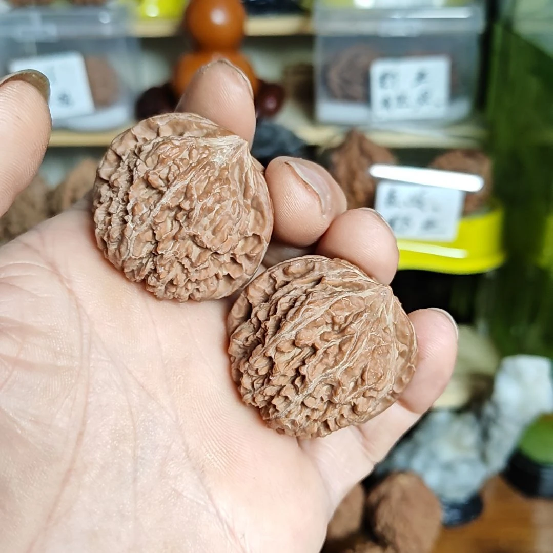 40加尺寸137狮子头