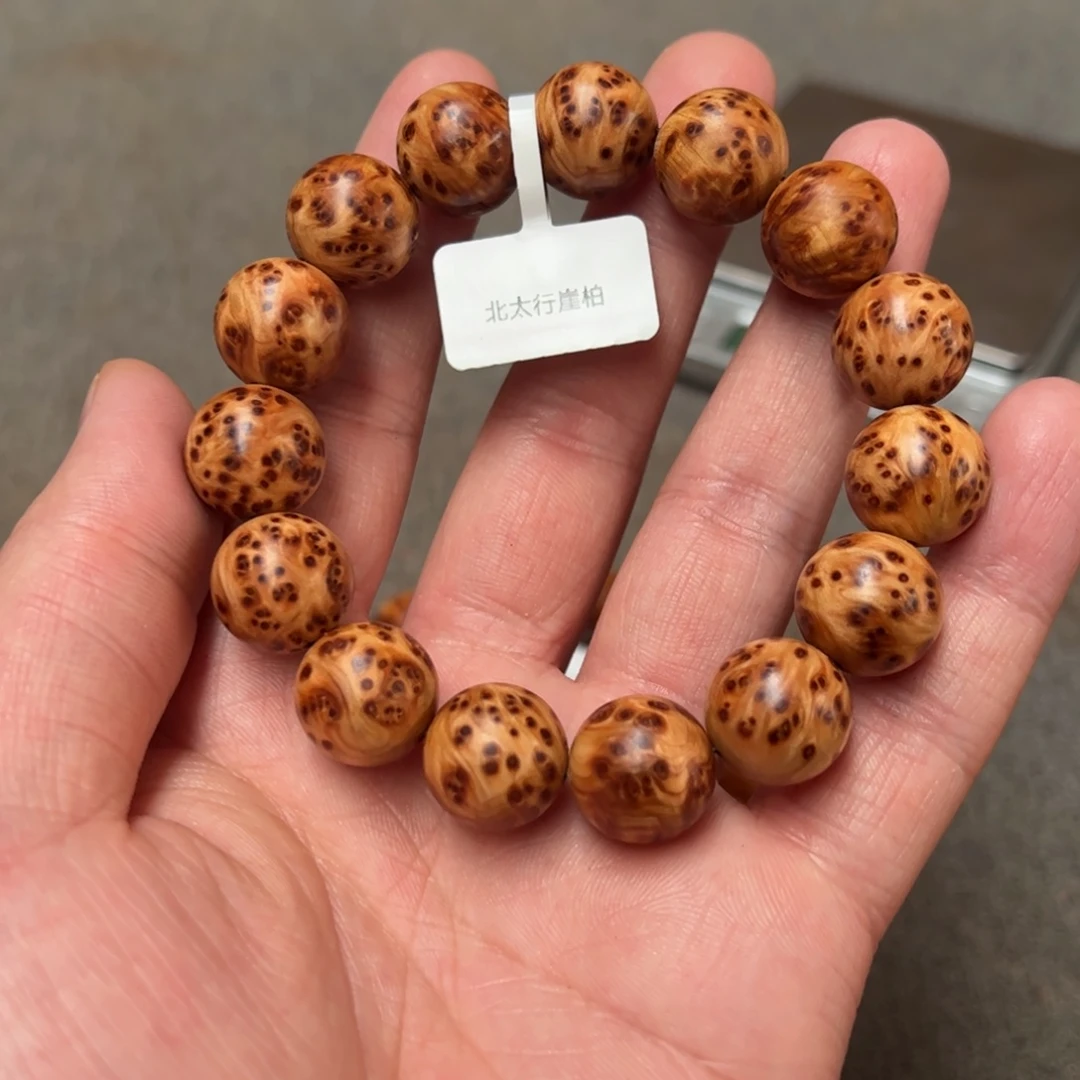 热***友柏木（崖柏）北太行陈化崖柏