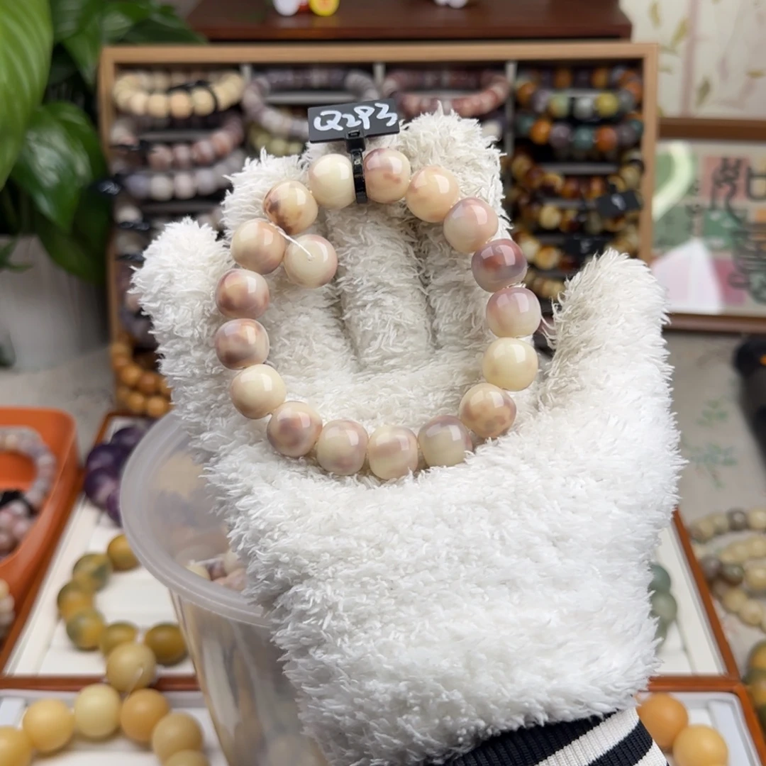 吊坠菩提根/象牙果全品293紫美人