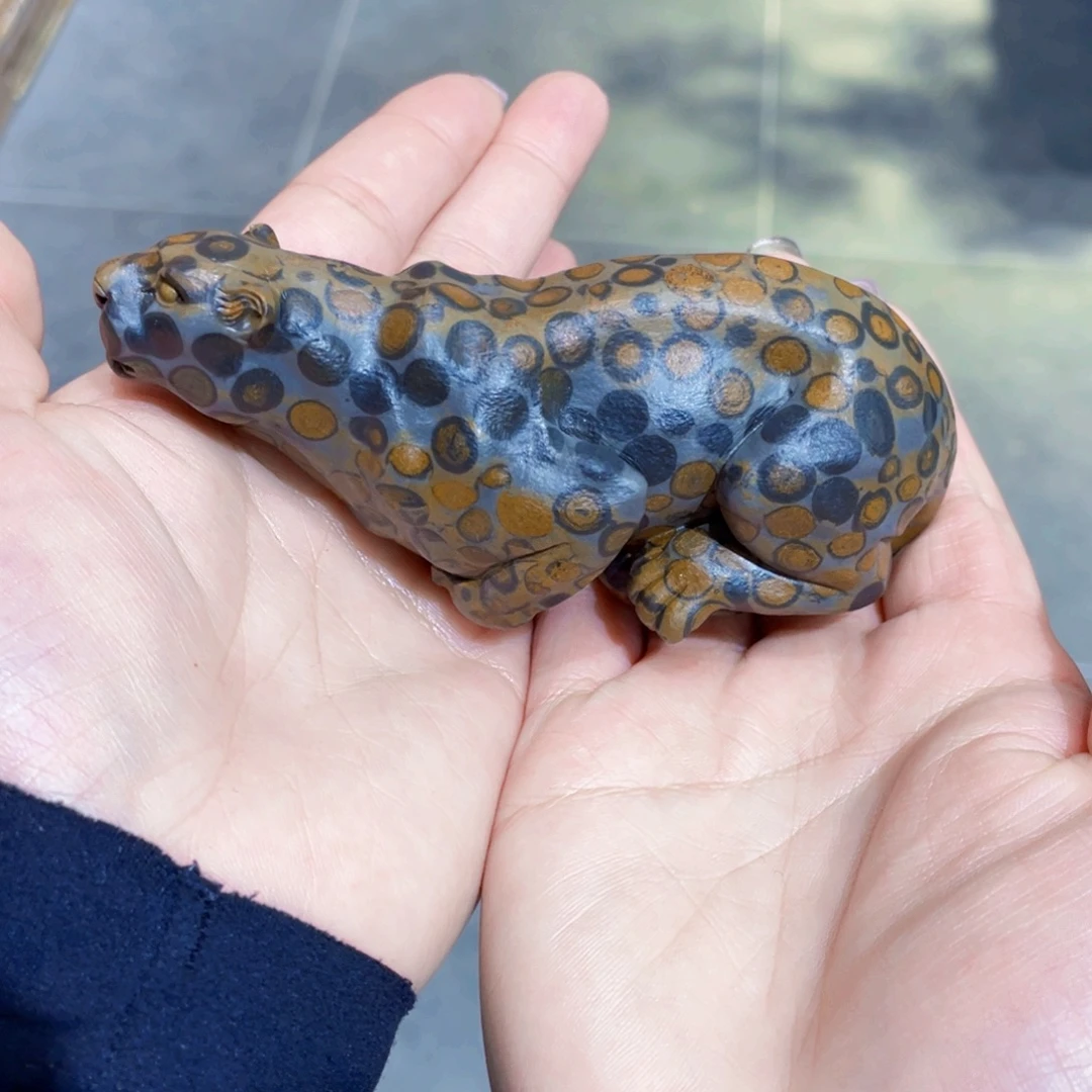 一路豹发金钱豹精品