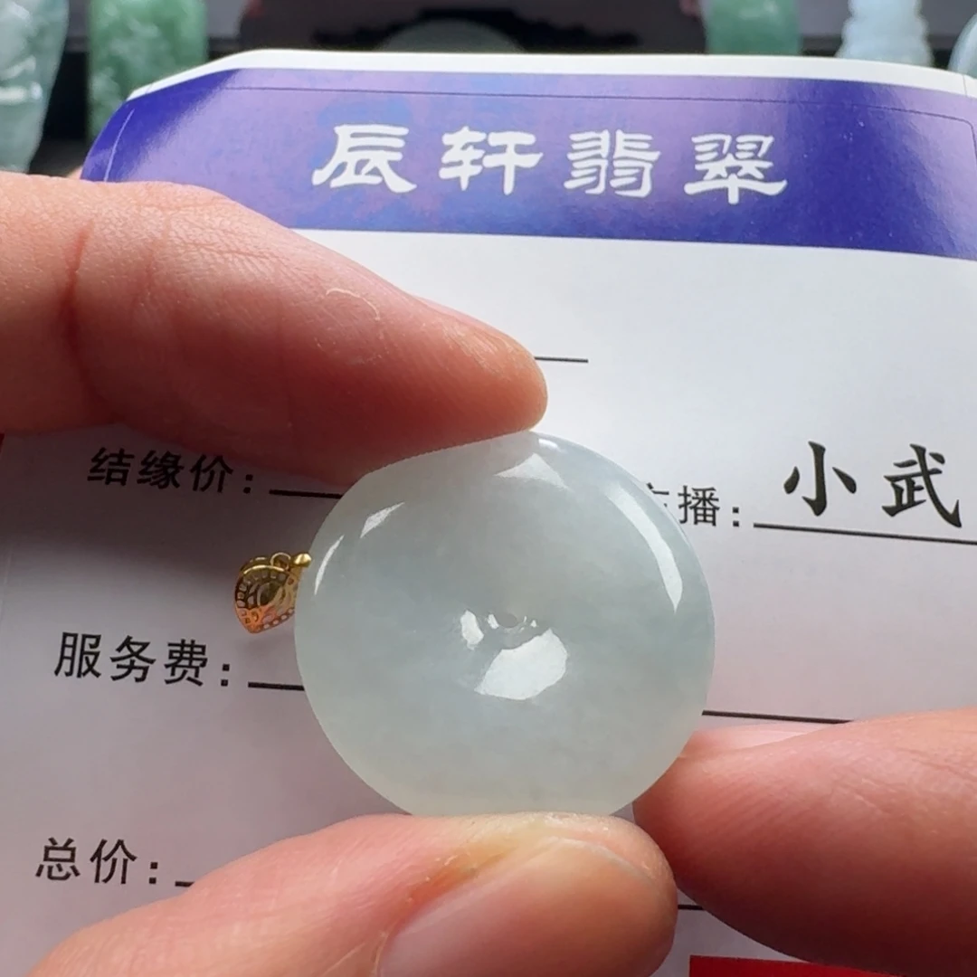 翡翠未镶嵌颈饰         49