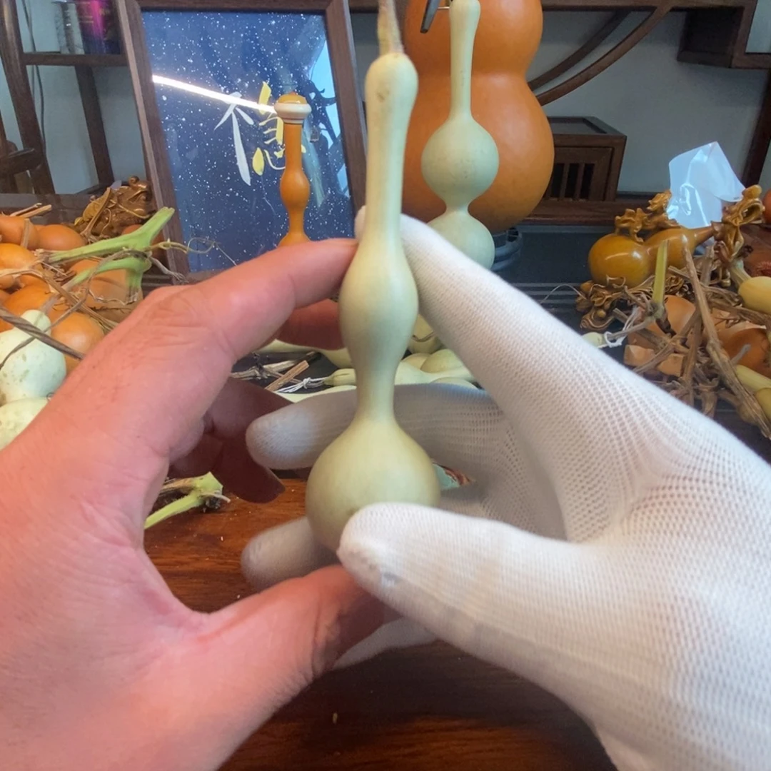 *****青皮不包不退不换！