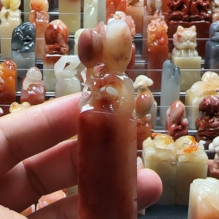 老挝石玉兰花
