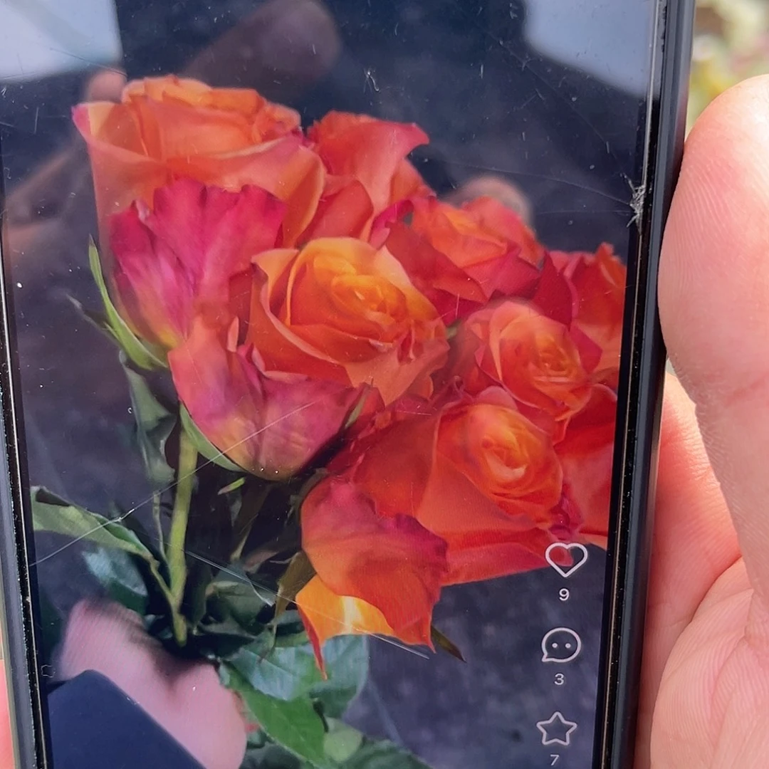 无花朵——-乐趣 福利款