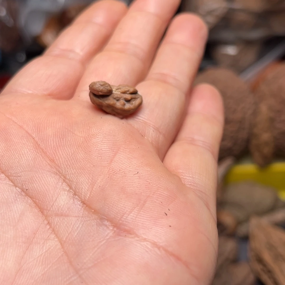 手串文玩核桃核桃116