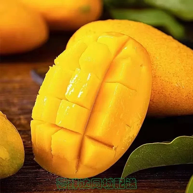 海南小台芒带箱5斤