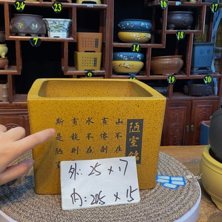 紫砂花盆紫砂花盆