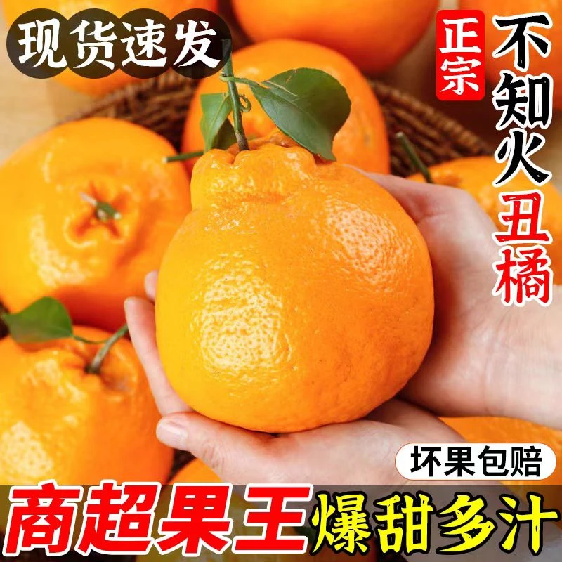 现摘现发 四川丑橘不知火4.5-5斤新鲜橘子丑八怪当季水果整箱