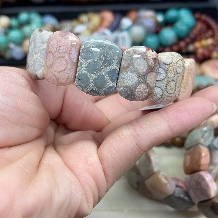 未镶嵌手串硅化珊瑚（珊瑚玉）092