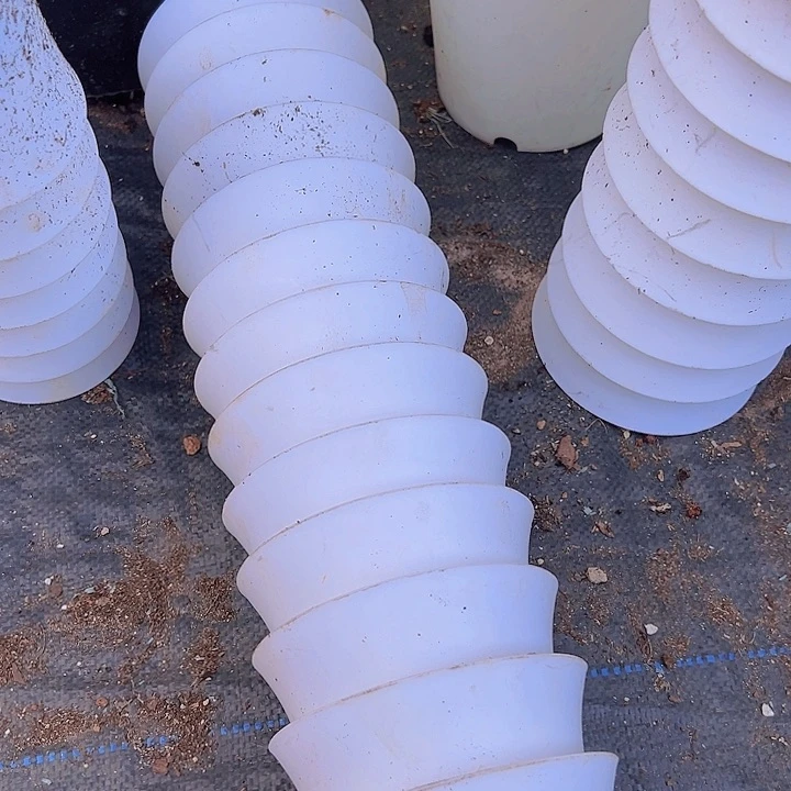 白色万象口径12高14发13个