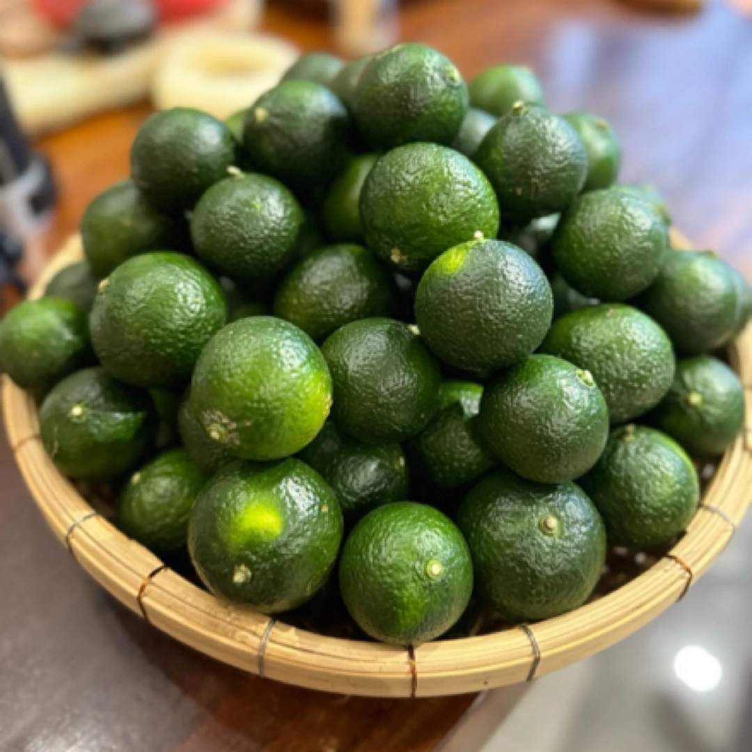 新会东甲梅江小青柑宝大果鲜果1两以上（50g）