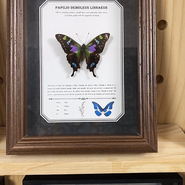 珐琅铁合金玫瑰青凤蝶微瑕