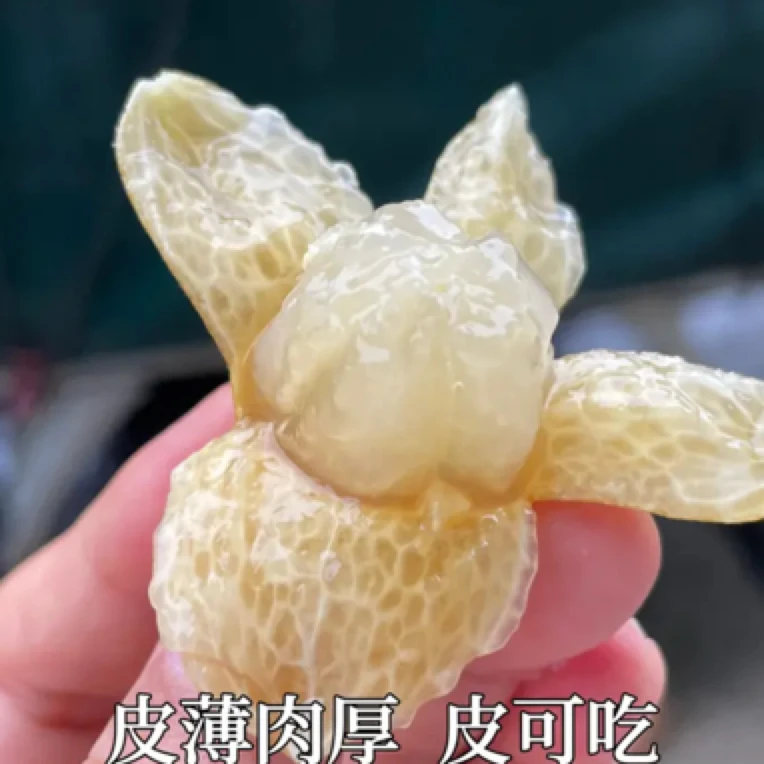 广东陏南鸡心黄皮果新鲜现摘当季酸甜水果顺丰包邮