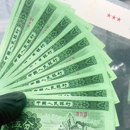 荧光五分标识一组，喜欢哪个去拍？