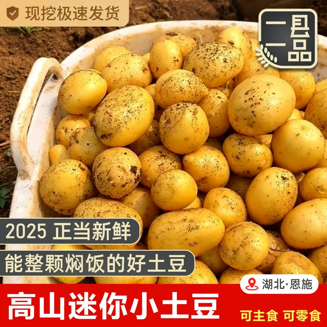高山黄金迷你小土豆新鲜当季农家蔬菜恩施富硒黄心马铃薯黄皮洋芋