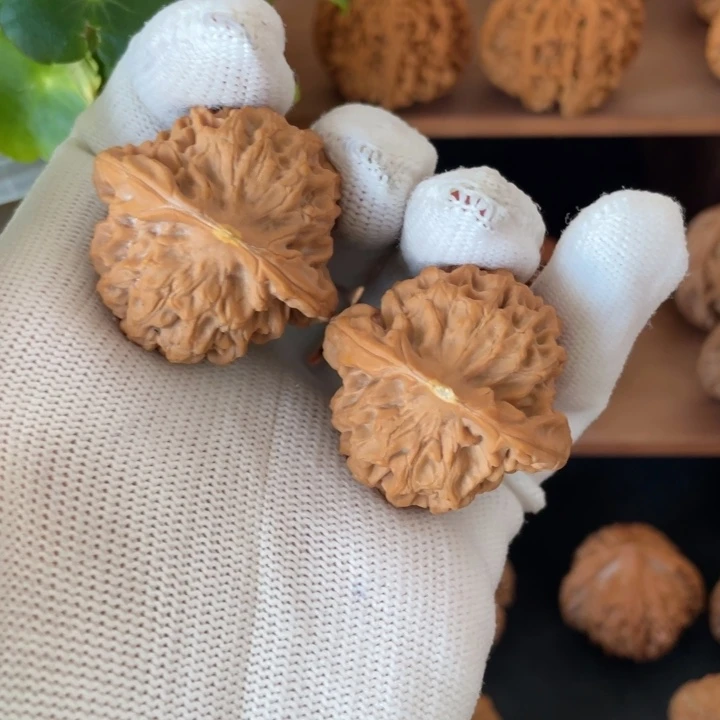 秦岭核桃的品种繁多