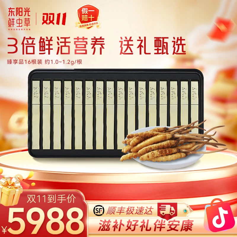 东阳光新鲜冬虫夏草1~1.2g/支16支装礼盒臻享品滋补品质官方正品
