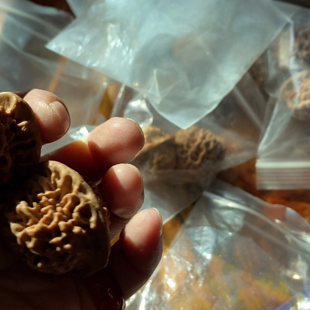 秦岭南侧和东北北部分别