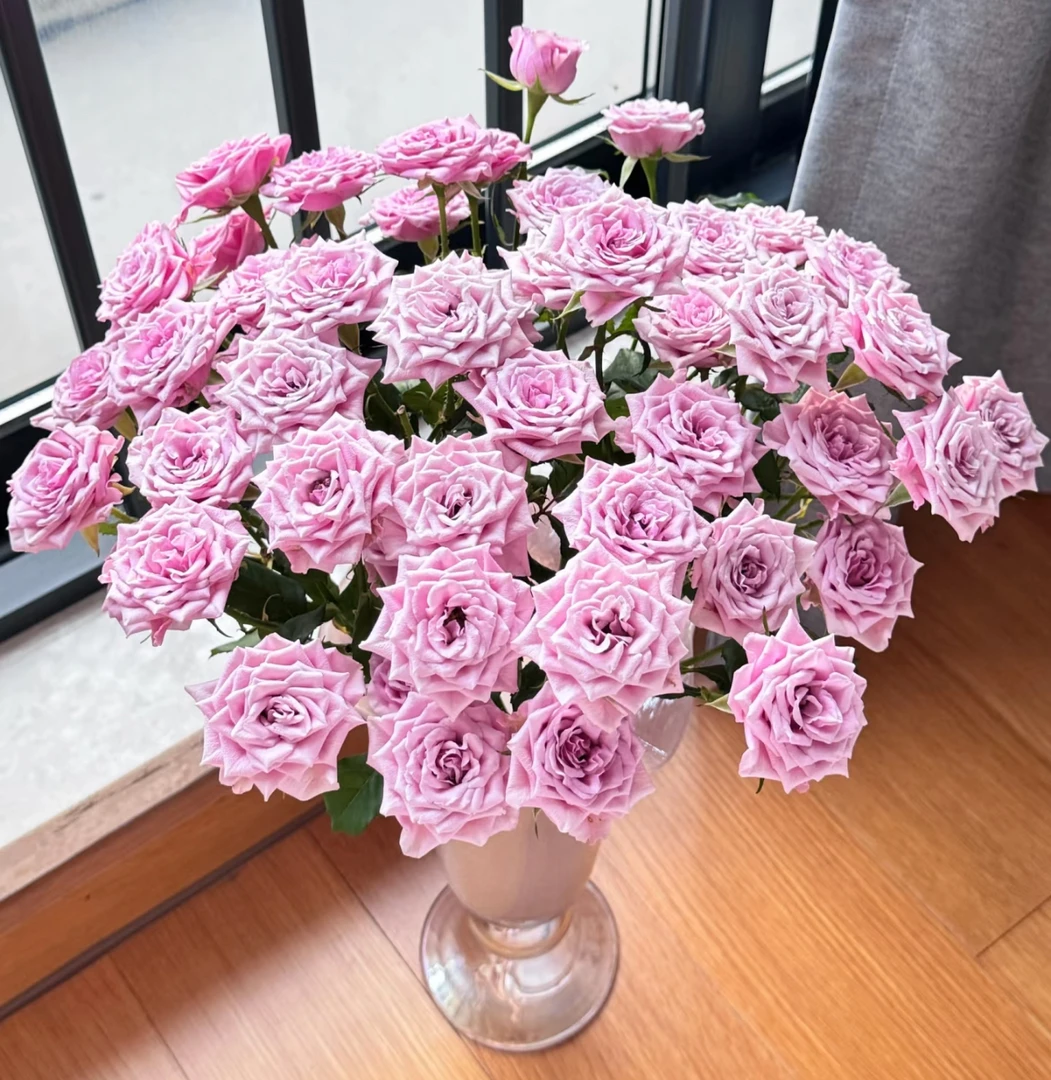 【诺拉泡泡AK】10支多头玫瑰  | 全场任意满两单鲜花包邮