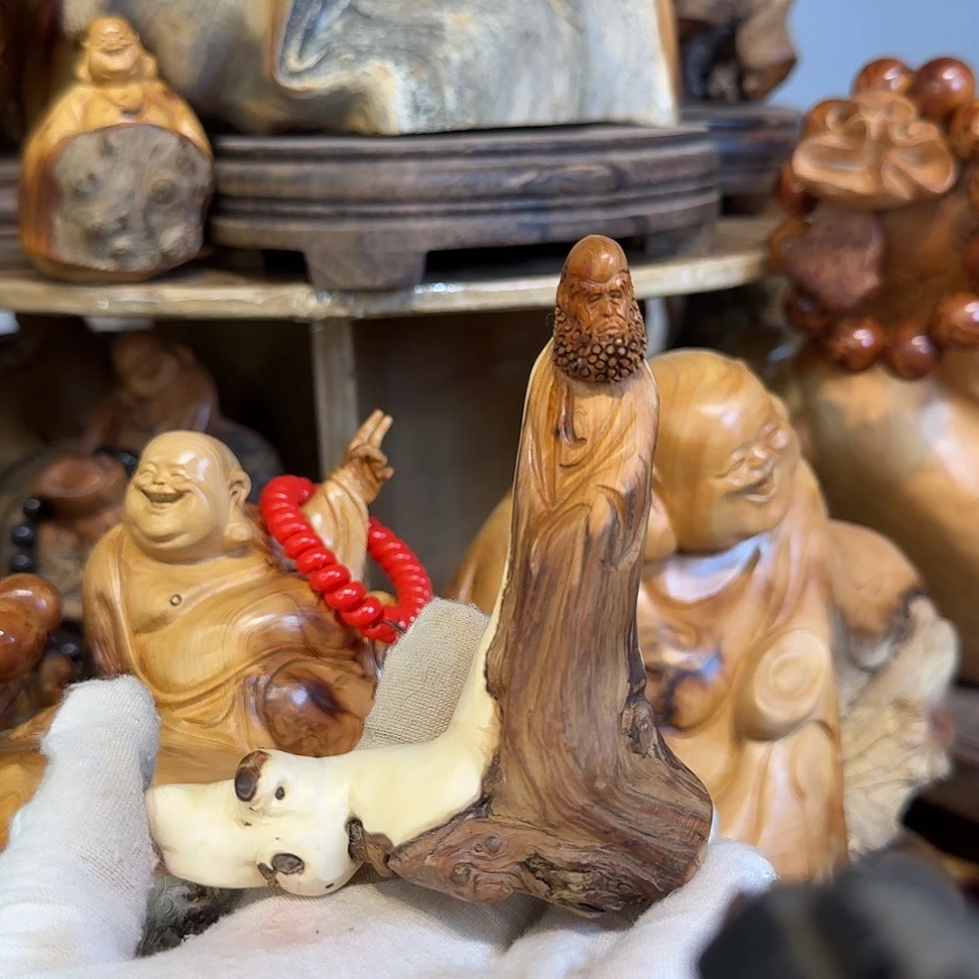 柏木（崖柏）66666666666