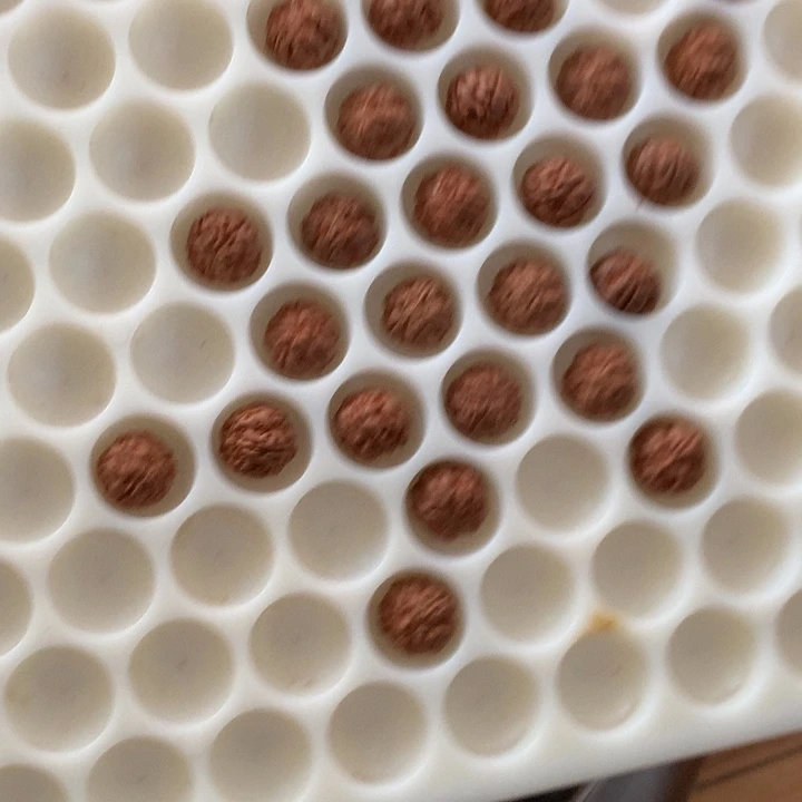 金刚菩提吊坠明*老树王11尺寸100颗