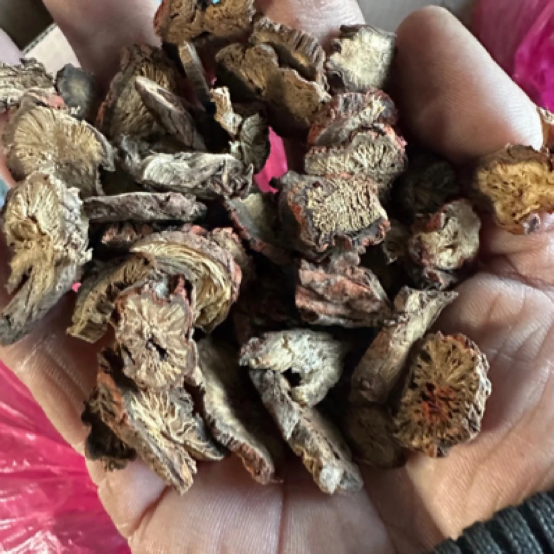 长白山丹参片250克