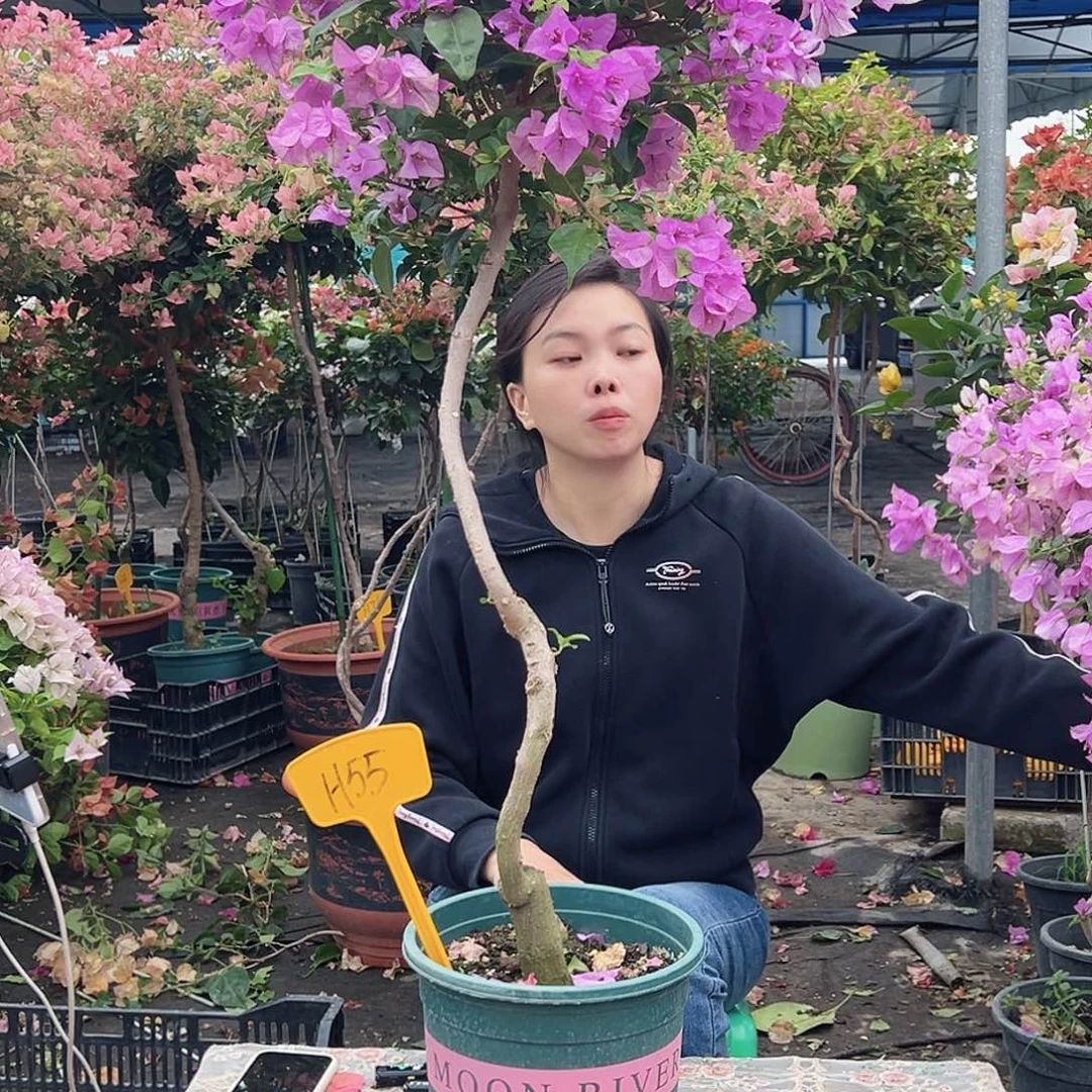 梦***谭大部分花苞少量开放H55雪紫