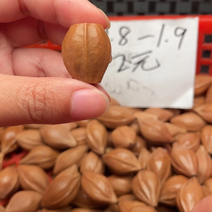 卫***早橄榄核手串/手链橄榄