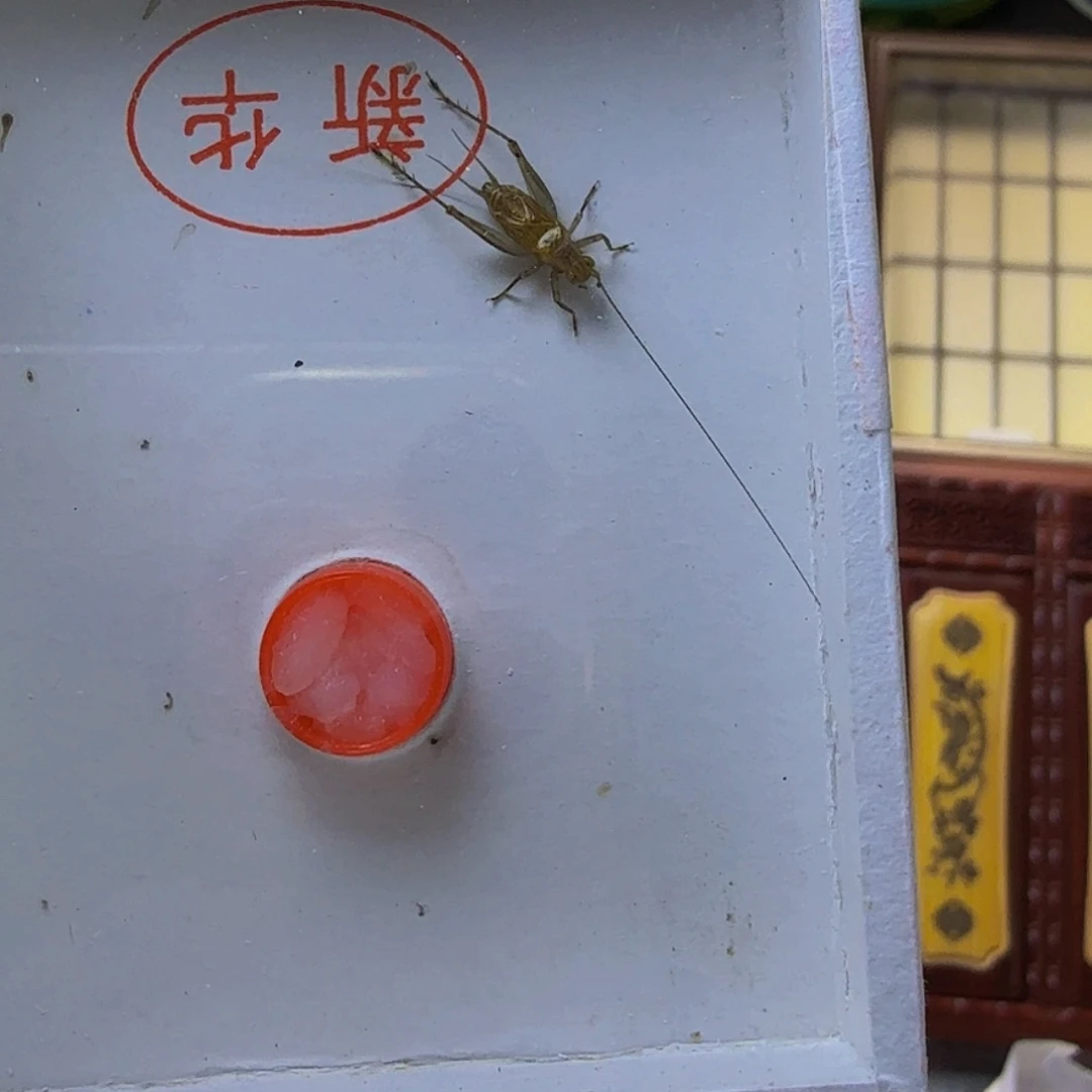 哈哈哈哈哈哈哈哈哈