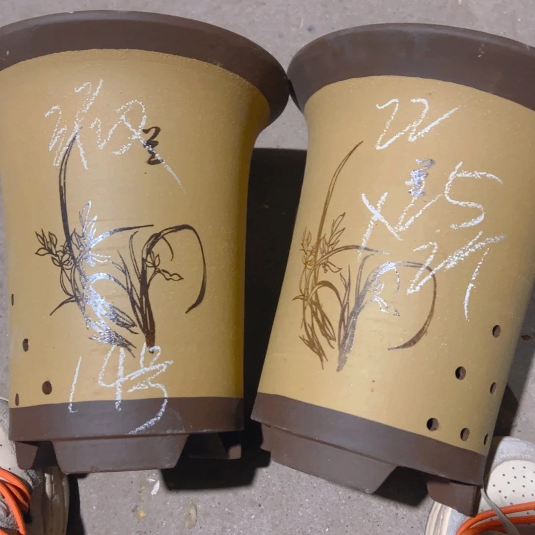 紫砂14号…………………………………………