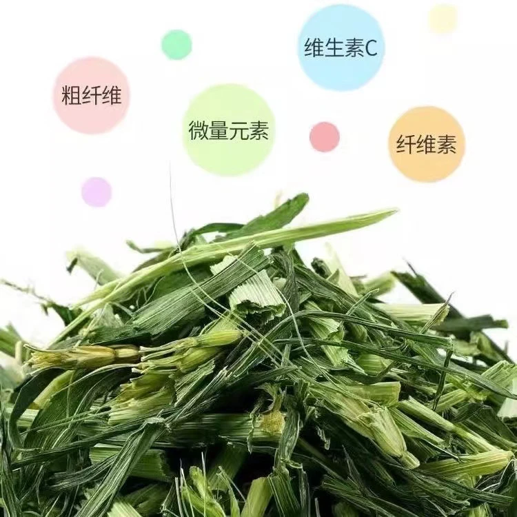 宠物兔粮干草，大麦草