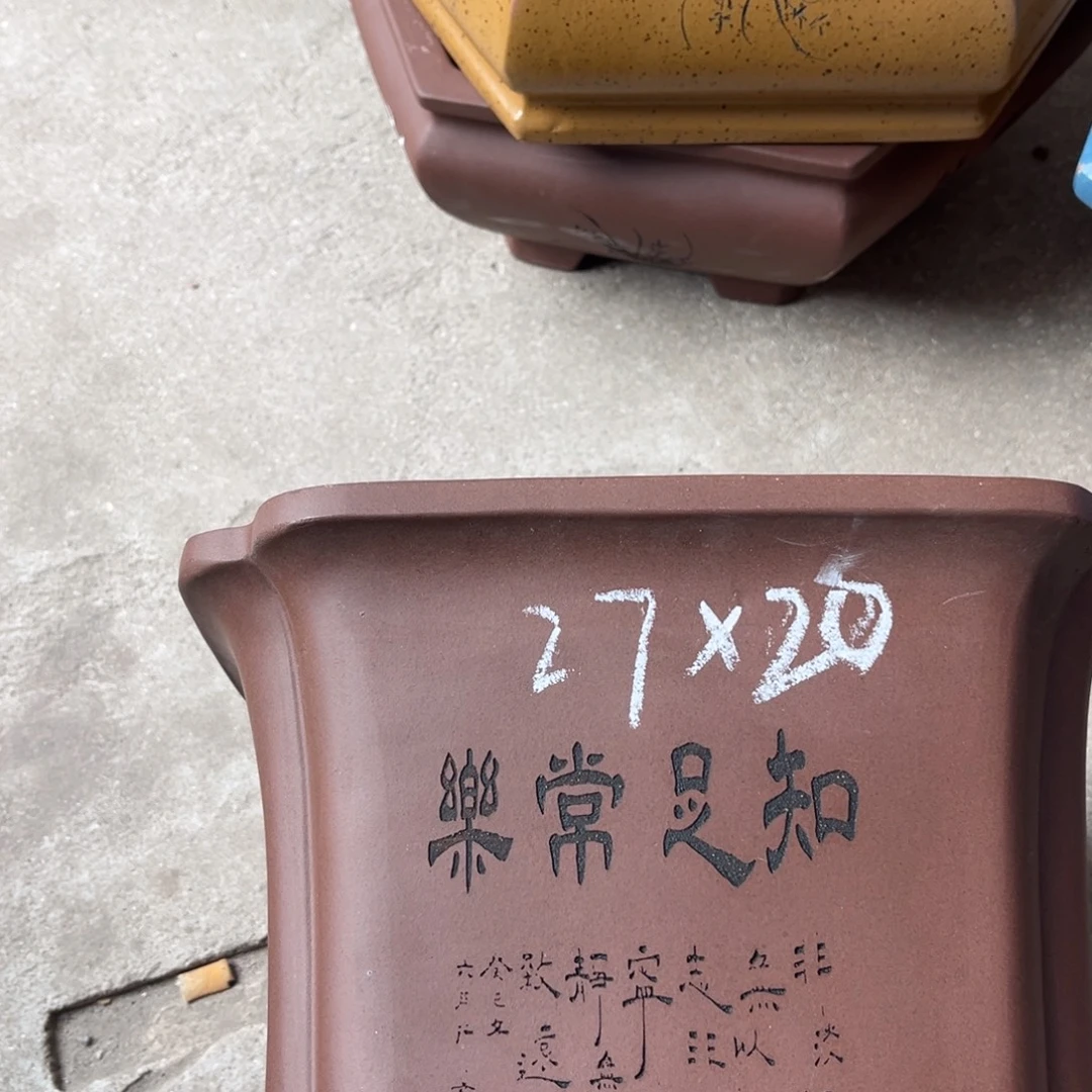 花盆紫砂盆景艺术