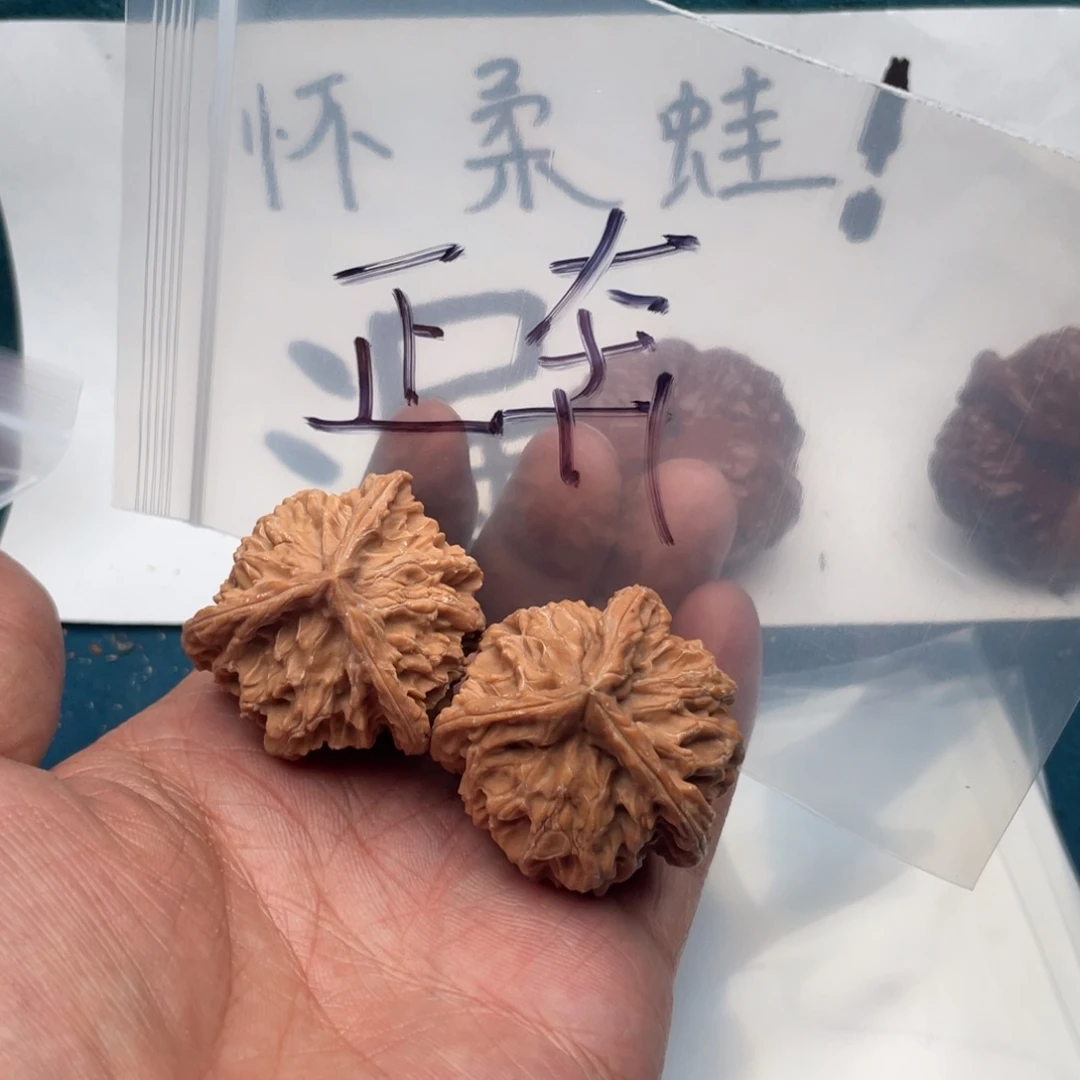 核桃735573573753573537537