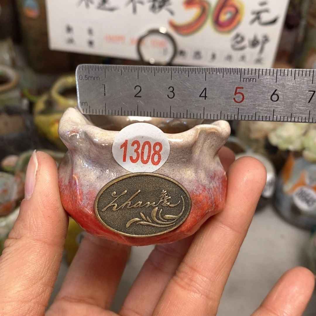 花盆拍5送一个小礼物