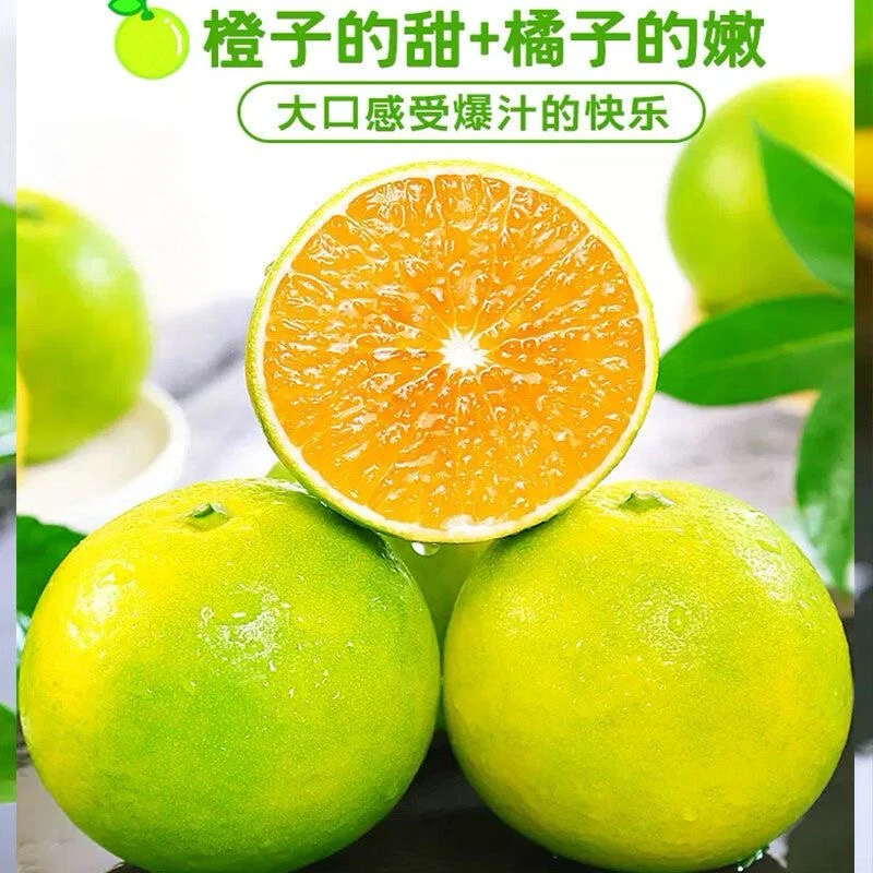 纤果有约云南玉溪哀牢山冰糖橙精品果净重4.5斤装新鲜采摘发货