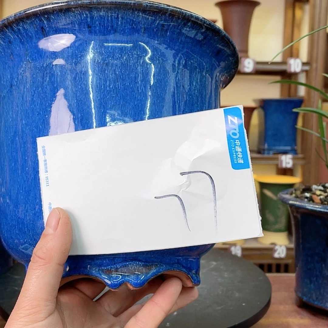 【闪购商品】紫砂花盆马*哈兰花4455577588777,