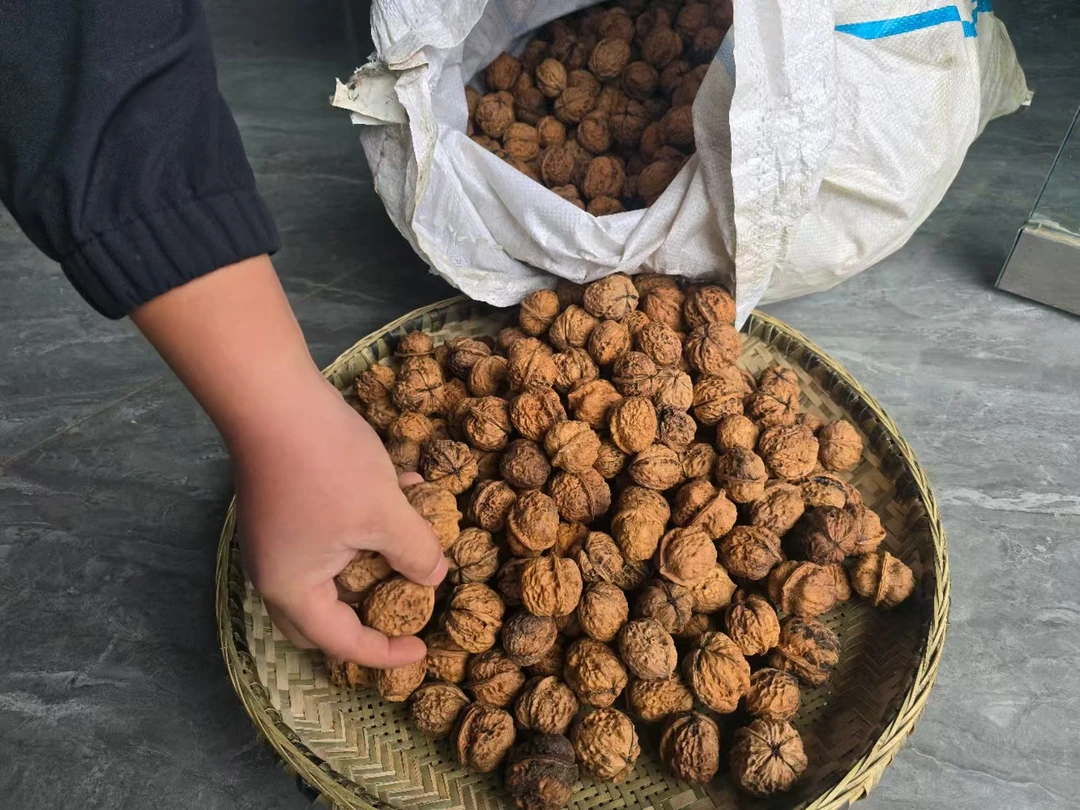 茅天镇农家山核桃