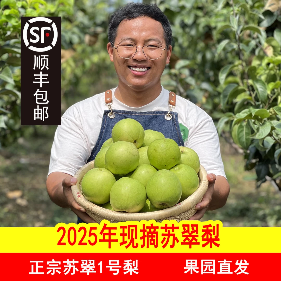 【苏翠1号】正宗青梨现摘现发脆甜多汁无渣皮薄4.5斤果园新鲜采摘