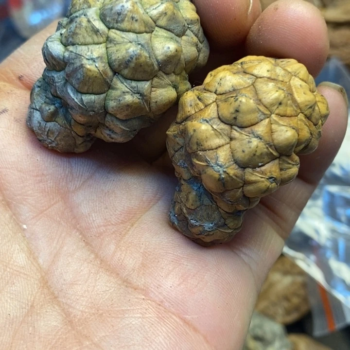 桃核吊坠娜姐真的104