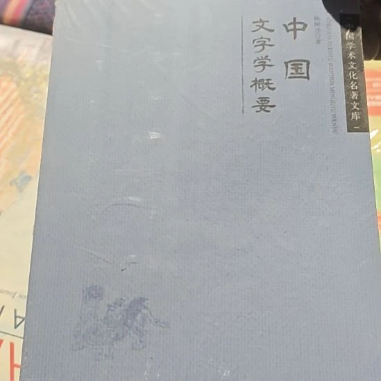 中国文学该要平装库存书