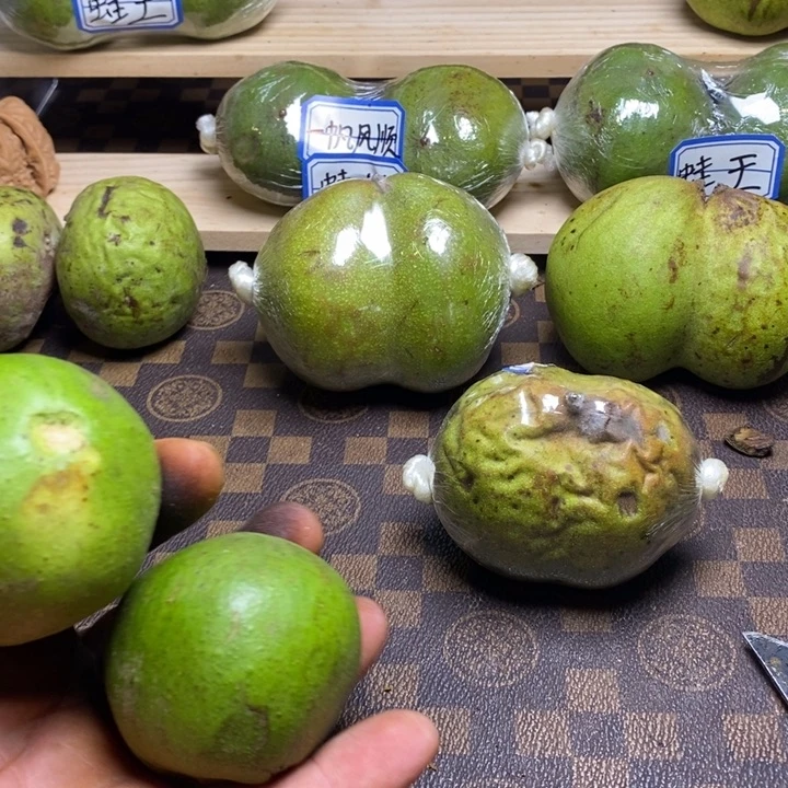 满***包核桃山地老树蛤蟆头