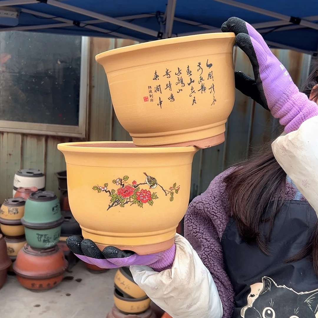 黄色鸟语花香小号一对