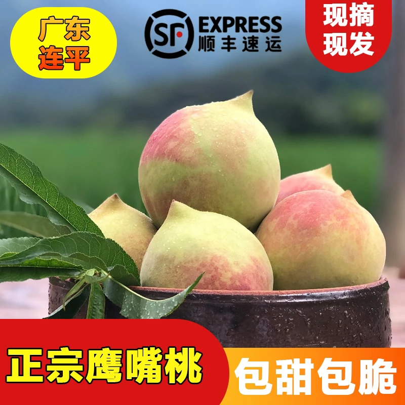 《顺丰包邮》〉正宗广东连平鹰嘴蜜桃当季新鲜采摘脆甜爽口清甜多汁