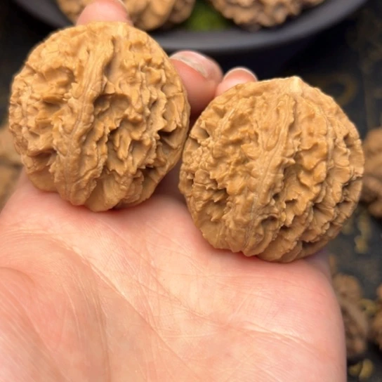 文玩核桃把件秦岭核桃5