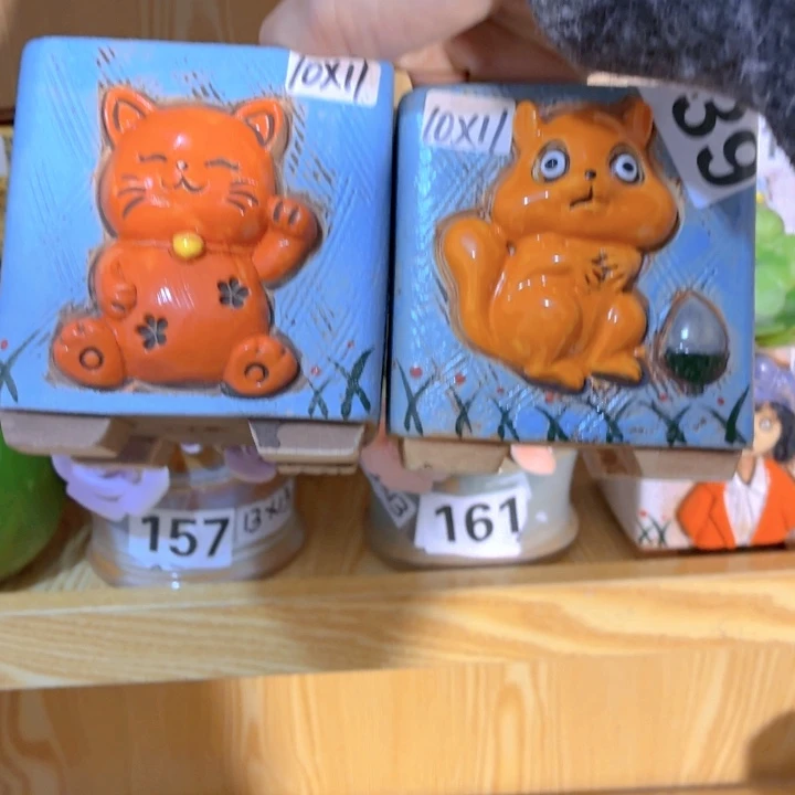 多肉花盆满15包邮