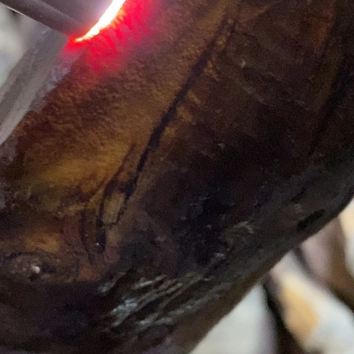 贡木把件红琥珀大爆龙牛