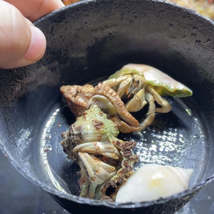 红日4只需要拍加热包