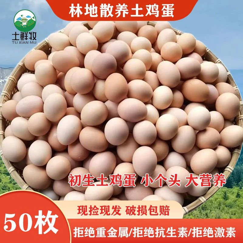 【初生土50枚】正宗林地散养草农家谷物土笨散养土鸡蛋