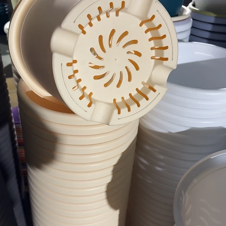 四季5号5个米黄色的